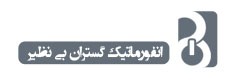 شرکت انفورماتیک گستران بی نظیر